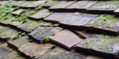 Blyth roof repair costs
